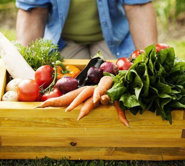 Read more about the article The organic food & sustainable dining for you