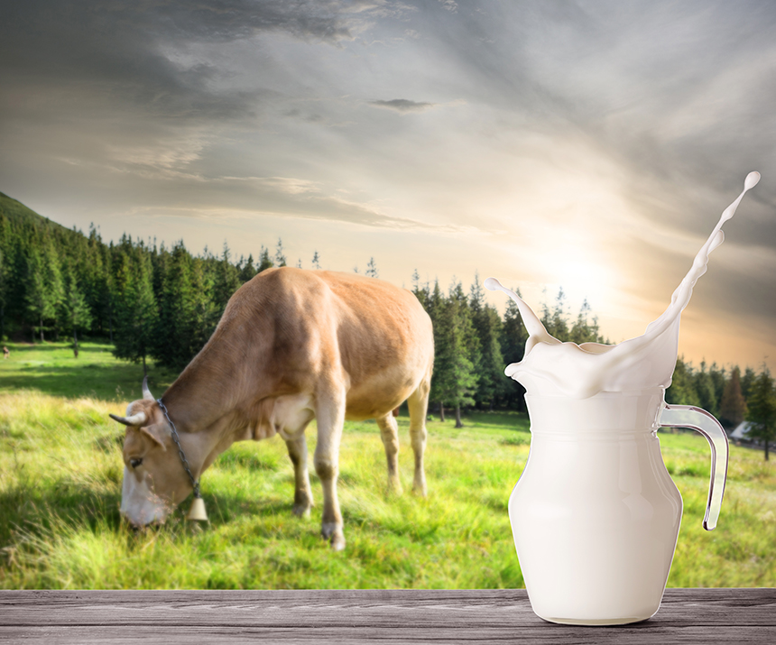 Read more about the article Fresh Dairy Milk